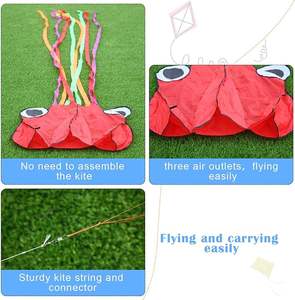 Beau grand cerf-volant de plage Easy <span class=keywords><strong>Flyer</strong></span> jouet grand poulpe cerfs-volants volants pour enfants et adultes - Product Image 3