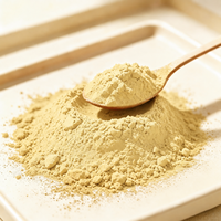 Poudre d'extrait de banane naturelle de qualité alimentaire en gros pour la matière première des aliments et boissons fonctionnels