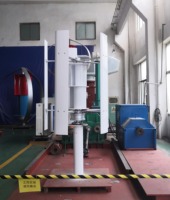 Polonia completo inteligente 3KW 5KW 10KW eje vertical Levitación generador de imán permanente turbina de viento vertical 10kw