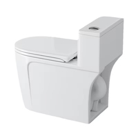 Ensemble de sanitaires pour salle de bain, WC, cuvette de toilette et lavabo, céramique, montage au sol, chasse d'eau directe, toilette monobloc