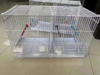 Poignée de transport facile Accessoires de cage pour perroquets d'élevage Cage à oiseaux Cage pour animaux d'élevage en acier inoxydable Gaiolas Para Passaros