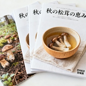 Service d'impression numérique de catalogues, brochures, magazines avec reliure à cheval à bas prix en Chine - Product Image 1