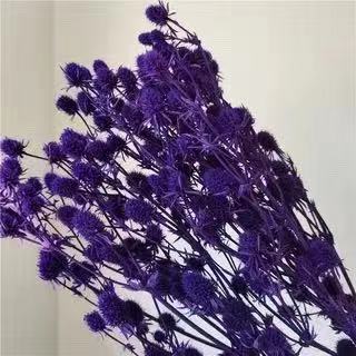 Dark purple