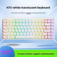 Keyboard Mekanik Profil Rendah 101-Tombol H75 Grosir, Nirkabel untuk PS/2, Mode Ganda Berkabel, Siap Pakai di Kantor, Portabel