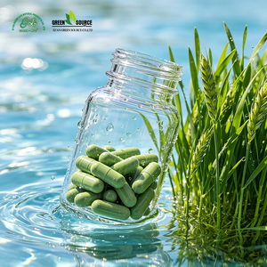 Poudre d'herbe d'<span class=keywords><strong>orge</strong></span> biologique en vrac pour mélange de boissons, comprimés, capsules, OEM, ODM, marque privée, vente en gros - Product Image 3