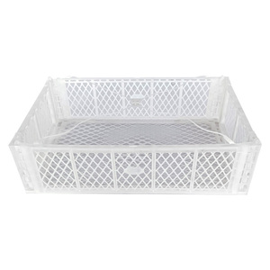 Boîtes, plateaux et caisses en <span class=keywords><strong>plastique</strong></span> PP pliables et empilables à bas prix pour la livraison de raisins et de fruits - Product Image 4