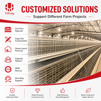 Cage à poulettes automatique haute densité à 3, 4 ou 5 niveaux en fil d'acier galvanisé, cage d'élevage de poussins en A pour usage commercial en élevage avicole