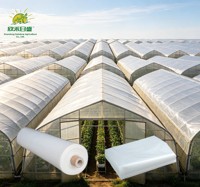 Film de serre 120-200 microns pour pépinière, couverture plastique transparente anti-buée pour favoriser la croissance saine des plantes