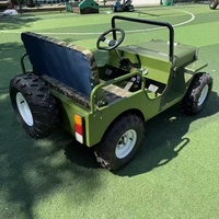 Go Kart Eléctrico de 650W 48V para Adultos y Niños, Transmisión por Eje, Freno de Disco, Velocidad Máxima de 40 km/h, Autonomía de 35-40 km, Batería de Plomo-Ácido de 20AH, 200 kg
