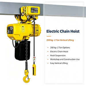 Polipasto Eléctrico de Cadena de 250 kg, 1 Tonelada, 2 Toneladas con Gancho para Taller y Manipulación de Materiales de Construcción - Product Image 1