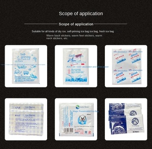 Ice Factory Use Equipment High Capacity Automatic Viscous & <b>Oil</b> Filling Sealing Packaging <b>Machine</b> - Product Image 4
