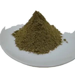 Thuja Leaf Powder Thuja occidentalis