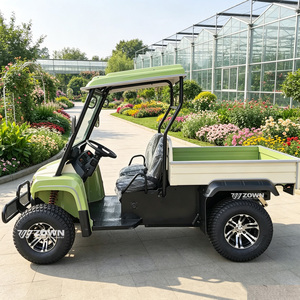 Voiture électrique de tourisme classique et écologique, zéro émission, pour navette de passagers dans les parcs aquatiques - Product Image 1