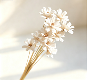 Ramo <span class=keywords><strong>de</strong></span> Flores Secas <span class=keywords><strong>de</strong></span> <span class=keywords><strong>Semillas</strong></span> <span class=keywords><strong>de</strong></span> Girasol Hecho a Mano, Ecológico y Duradero, con Cáscaras <span class=keywords><strong>de</strong></span> Frutas Naturales, Decoración para el Hogar, San Valentín - Product Image 4