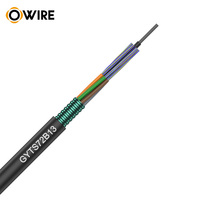 Câble à fibre optique extérieur blindé haute résistance OWIRE GYTA-(2-288)C SC UPC TCP pour projets en environnements difficiles, performances stables, PE