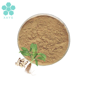 Китайская традиционная трава isatis корневой порошок isatis корневой экстракт порошок - Product Image 1