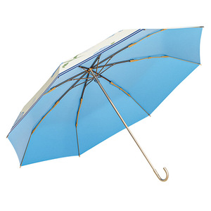 Damen-Sonnenschirm mit Goldhaken, Cartoon-Design, 8K-Aluminiumlegierung-Griff, faltbar, 100 cm Öffnungsdurchmesser, tragbar, UV-Schutz für Reisen - Product Image 5