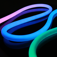 Nouveau Néon LED Extérieur IP68 – Dimmable et Découpable – Garantie 10 Ans pour Éclairage Architectural