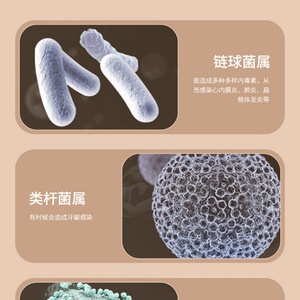 Household Ultrasonic Jewelry Glasses Denture Braces Cleaner Machine Portable Professional Ultrasonic Cleaner With <b>Uv</b> <b>Lighting</b> - Product Image 6