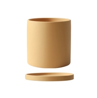 Pots de fleurs en céramique terracotta pour plantes succulentes et cactus, avec soucoupe perméable à l'eau, style moderne et épuré, pour intérieur/extérieur