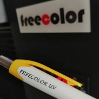 Imprimante UV à plat de petit format haute vitesse Freecolor FC-UV4060 Modèle A3/A2 Imprimante UV pour l'impression sur verre/balle/stylo/bois/boîte