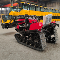 Petit motoculteur sur chenilles de 50 cv, pelletage de la neige, nettoyage des excréments d'animaux, tracteur avec chargeur frontal