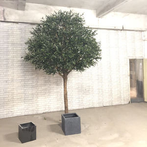 <span class=keywords><strong>Prix</strong></span> de gros Arbre en bois vert fibre de verre <span class=keywords><strong>olivier</strong></span> artificiel à vendre faux <span class=keywords><strong>olivier</strong></span> feuilles persistantes plante - Product Image 1
