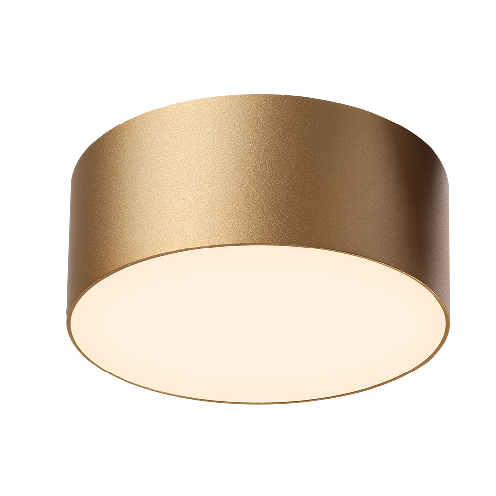 PNY Modern Round LED Ceiling Lamp Indoor Lighting for Kitchen Dining Living Room Aisle Corridor Bedroom Decor Ceiling Light