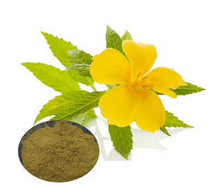 <span class=keywords><strong>Damiana</strong></span> bubuk daun <span class=keywords><strong>Damiana</strong></span>, pasokan alami 99% bubuk ekstrak <span class=keywords><strong>Damiana</strong></span> 10:1 20:1 - Product Image 1