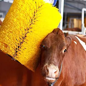 Щетка большого размера для массажа коров на ранчо