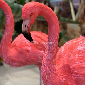 Plumas reales personalizadas para interiores, decoraciones de pájaros simulados, modelo de flamenco artificial - Product Image 5