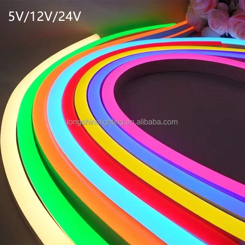 LED Double Side Lighted Flex Tude Strip Neon Color String Lighting LED Landscape Lamp for Holiday Decoration