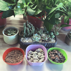 Piedra natural para plantas, piedra de grano carnoso, horticultura - Product Image 5