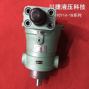 Chuan Jie ปั๊มลูกสูบ YCY14-1B แกน, ปั๊มบูสเตอร์ไฟฟ้า100YCY14-1B การไหลของตัวแปรในแนวนอน - Product Image 1