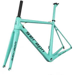 DI2 series road bike carbon frame T1000 carbon ultralight frame.Accept painted bicycle FM066