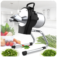 Hacheur alimentaire commercial ASAKI, robot culinaire électrique, mini-machine à couper les légumes, chili, carotte, gingembre