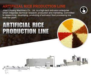 Nueva Línea de Equipos de Producción de Polvo Instantáneo Marca Linyang 2024 con Motor para Tiendas de Alimentos y Granjas, Controlada por PLC - Product Image 3