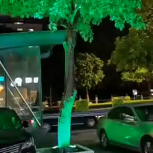 Lampe d'arbre circulaire flexible, projecteur de changement de couleur RGBW, éclairage paysager, décoration d'arbre de <span class=keywords><strong>coco</strong></span> circulaire, lumières de jardin - Product Image 3