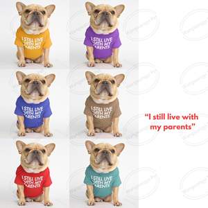 Camiseta divertida con letras de Pugdog Bulldog, ropa de verano transpirable y humorística para perros pequeños - Product Image 6
