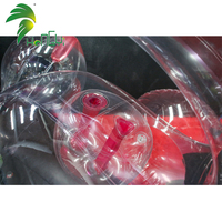 Jouet sexuel gonflable transparent en forme de dragon, sexy pour homme