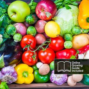 <span class=keywords><strong>El</strong></span> JUEGO DE <span class=keywords><strong>TOMATE</strong></span> <span class=keywords><strong>gigante</strong></span> orgánico 100% de Bahce Village incluye macetas y jardineras redondas para decoración de jardín al aire libre - Product Image 6