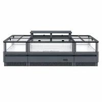 Vitrine Réfrigérée Commerciale Monotempérature à Refroidissement par Air, Type Îlot, pour Supermarché, Aliments Surgelés