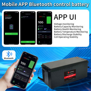 충전식 <span class=keywords><strong>12V</strong></span> 100Ah 200Ah 300Ah ABS LiFePO4 배터리 6000 딥 사이클 RV, 보트 및 오프그리드용 - Product Image 5