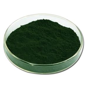 นาโนโพลีอะนีลีน (PANI) แบบแท่งละเอียด ขนาด 150-250 นาโนเมตร เกรดอุตสาหกรรม สำหรับการถ่ายภาพชีวภาพ รูปทรงกระบอก - Product Image 3