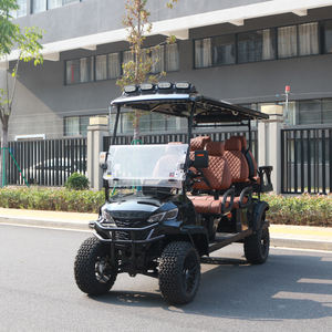 Carrito de golf todoterreno ATV UTV de 6 asientos de alta calidad, Buggy de <span class=keywords><strong>playa</strong></span> eléctrico de 48V con controlador Curtis certificado EEC y GCC - Product Image 1