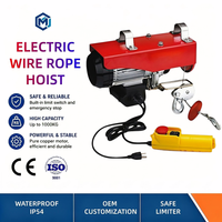 Palans électriques sans fil à télécommande CE 110V 220V, antirouille, longue durée de vie, 20 kg, pour la maison, le garage, la ferme