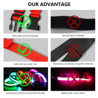 Collier LED pour chien, rechargeable par USB, réfléchissant, réglable, en polyester, avec fermeture à boucle, pour la sécurité nocturne, vente en gros