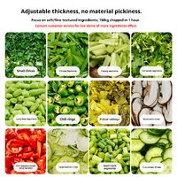Cortadora de Vegetales Comercial Silenciosa Mond.uk de 150 kg/h, Rebanadora Profesional de Cebollín y Chile en Anillos para Restaurantes