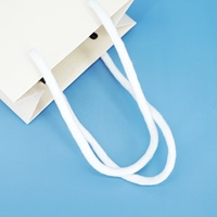 Nouvelle arrivée de haute qualité le plus populaire personnalisé coloré exquis nouvelle mode sac en papier écologique