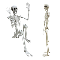 Squelette d'Halloween en plastique de taille humaine de 24 pieds (180 cm, 6 pieds) en gros à vendre